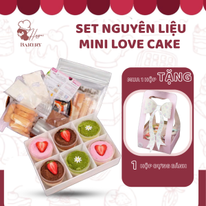 SET NGUYÊN LIỆU MINI CAKE
